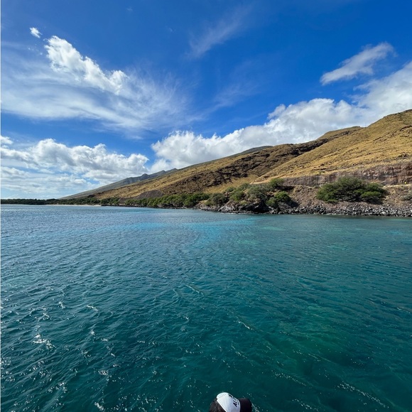 Meet your Posher, Delilah - Picture 4 of 6